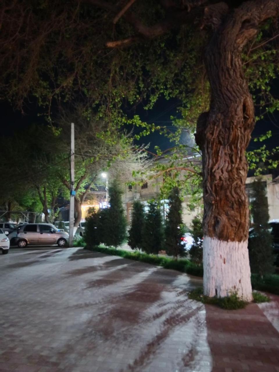 Gulsara Hostel Σαμαρκάνδη Εξωτερικό φωτογραφία
