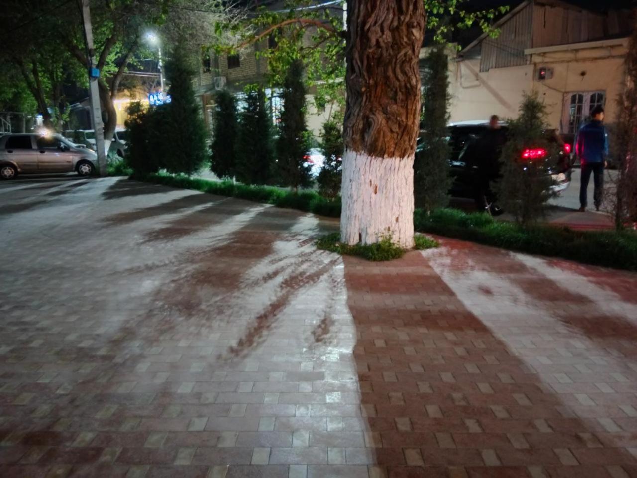 Gulsara Hostel Σαμαρκάνδη Εξωτερικό φωτογραφία